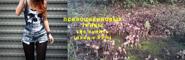 молекула духа Алексин