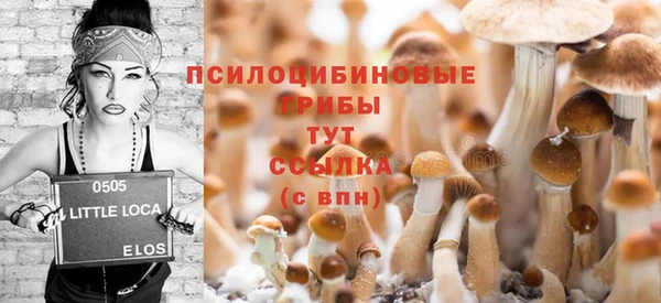молекула духа Алексин