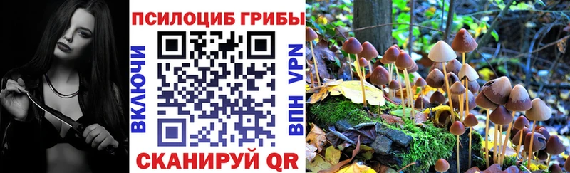 маркетплейс телеграм Избербаш Псилоцибиновые грибы мицелий кракен